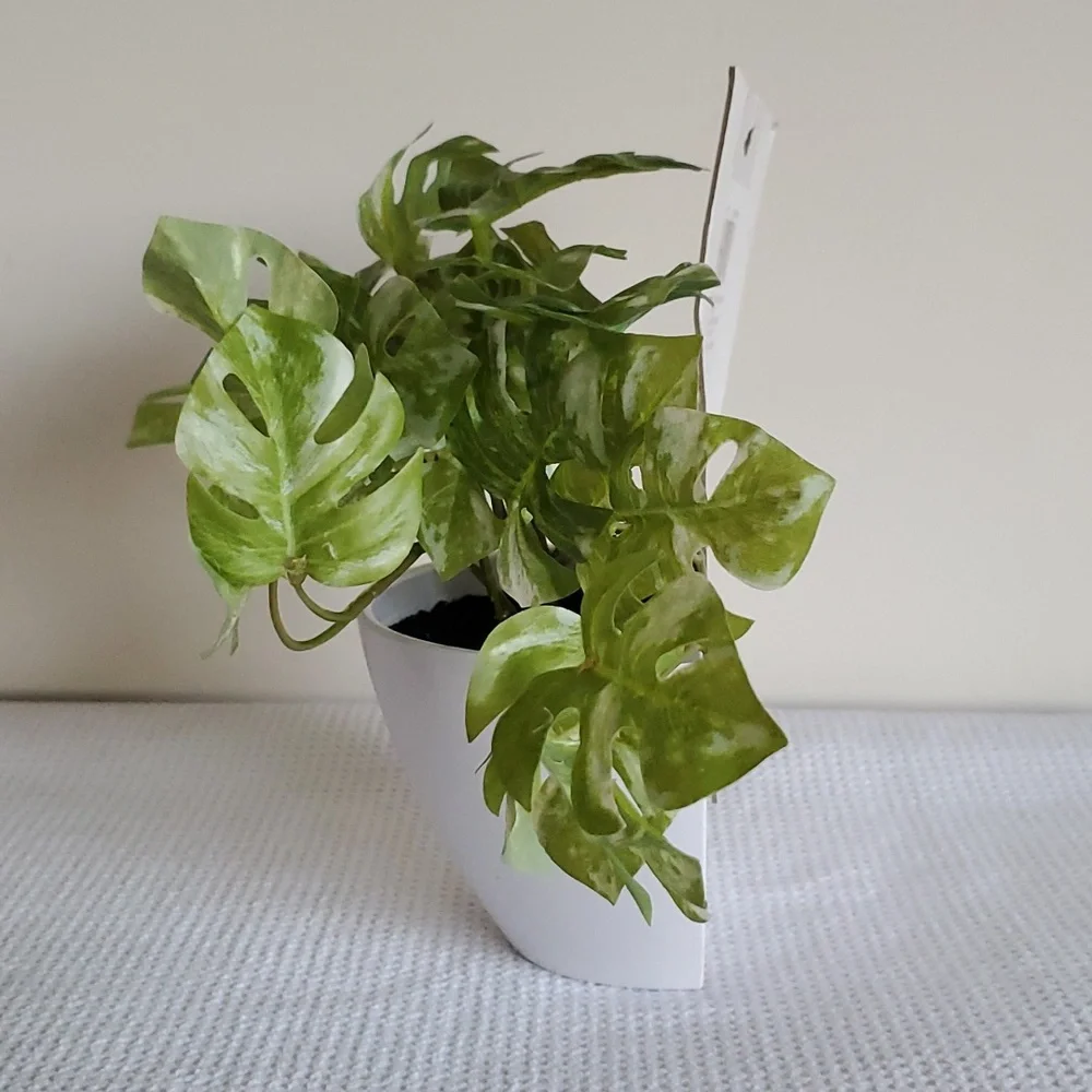 FAUX GREENERY PLANT DECOR